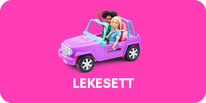 Se Barbie lekesett med figurer og tilbehør